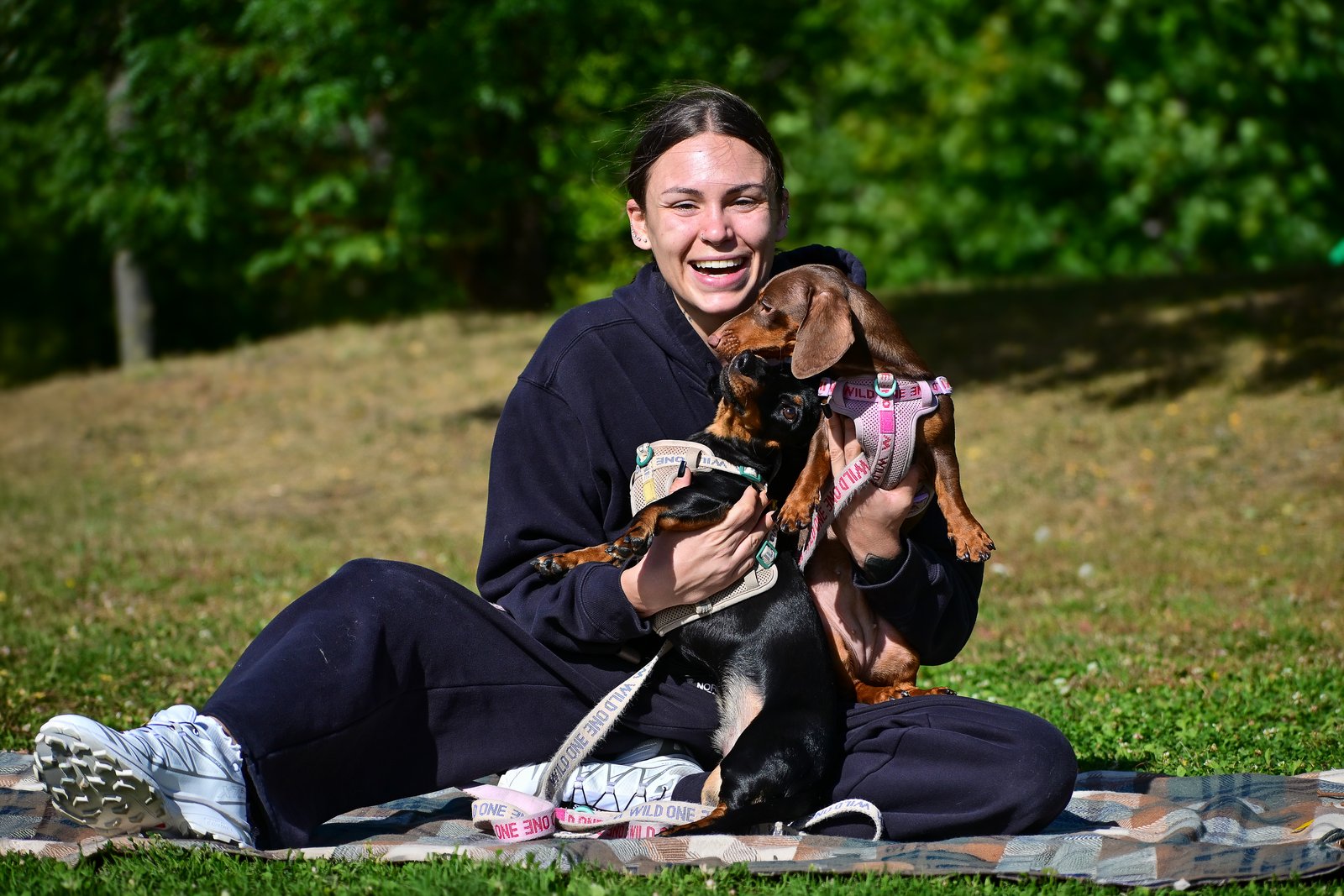 A client with her two dachshunds at a BetterDog Pack Walk.