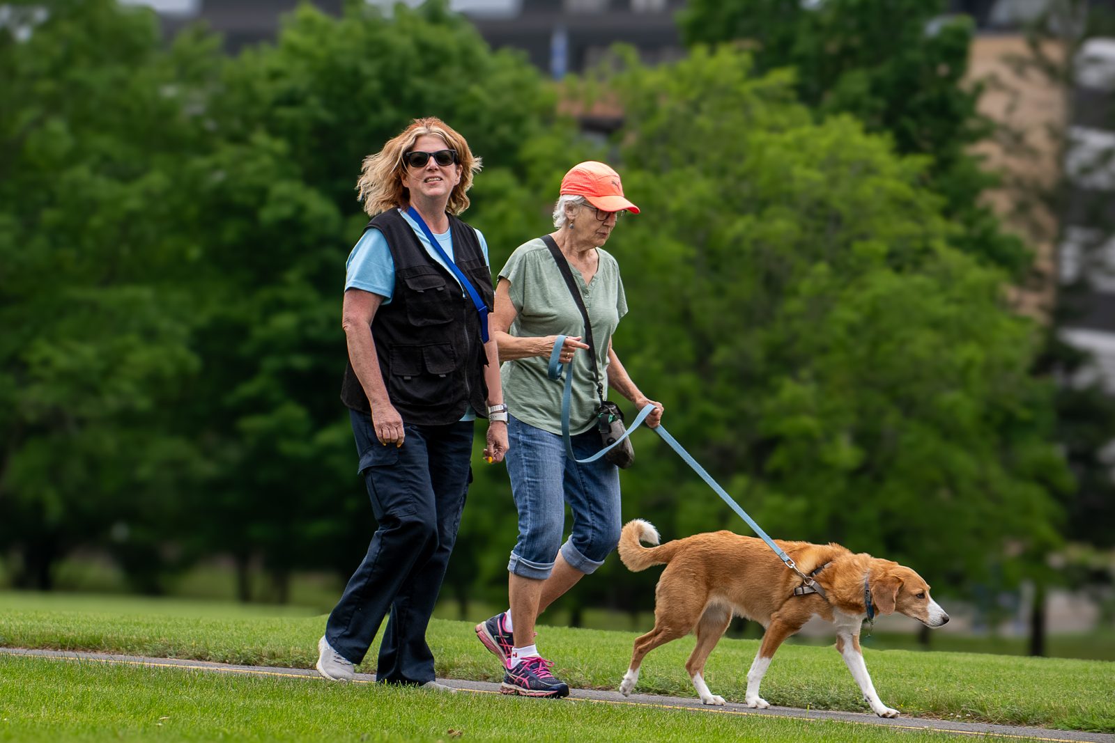Nancy walks alongside a client and her dog at a BetterDog Pack Walk.
